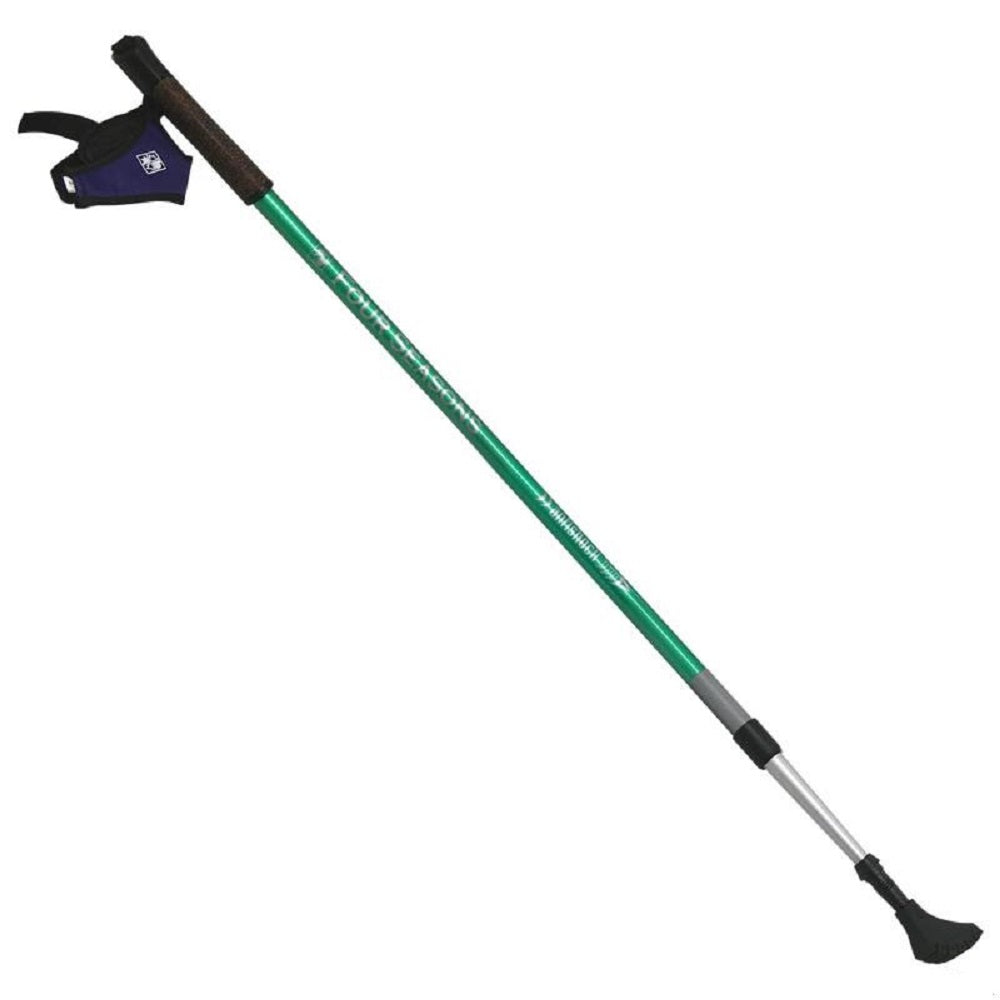 Four Seasons Nordic Walking Pole image 0