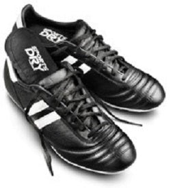 SportsDry Cedar Inserts for Shoes & Boots ( 1 Pair ) image 0