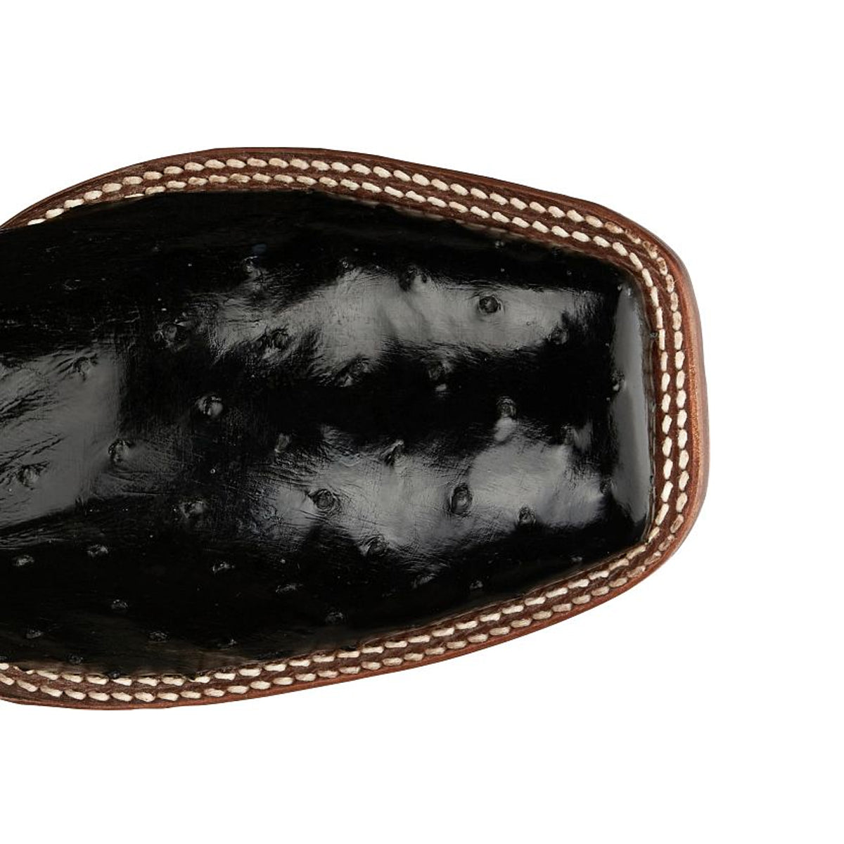 Tony Lamas Boots Men's Footwear Wester Castillo 11" Full Quill Ostrich Color Onyx image 3