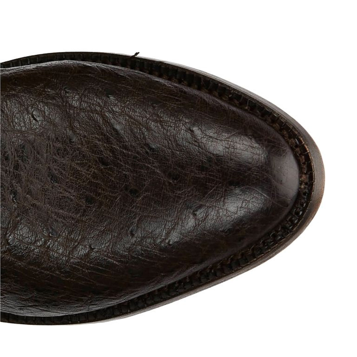 Tony Lamas Boots Men's Footwear Wester Exotic Ray 13" Smooth Ostrich color Mink image 3