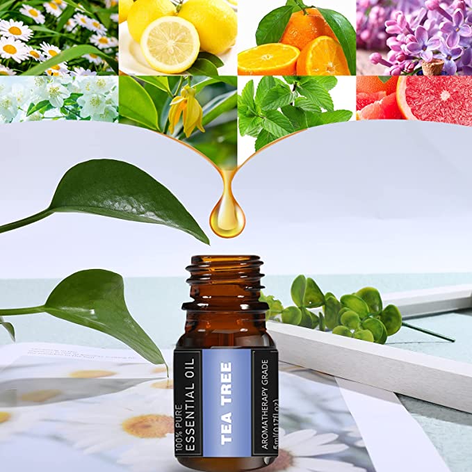 48 Bottons Essential Oil Set, Premium Scented Fragrance Oils for Soap, Candle Bath Bombs Making (5ml/0.17oz) image 2