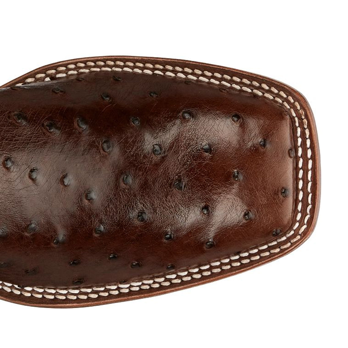 Tony Lamas Boots Men's Footwear Wester Castillo 11" Full Quill Ostrich Color Bourbon image 3