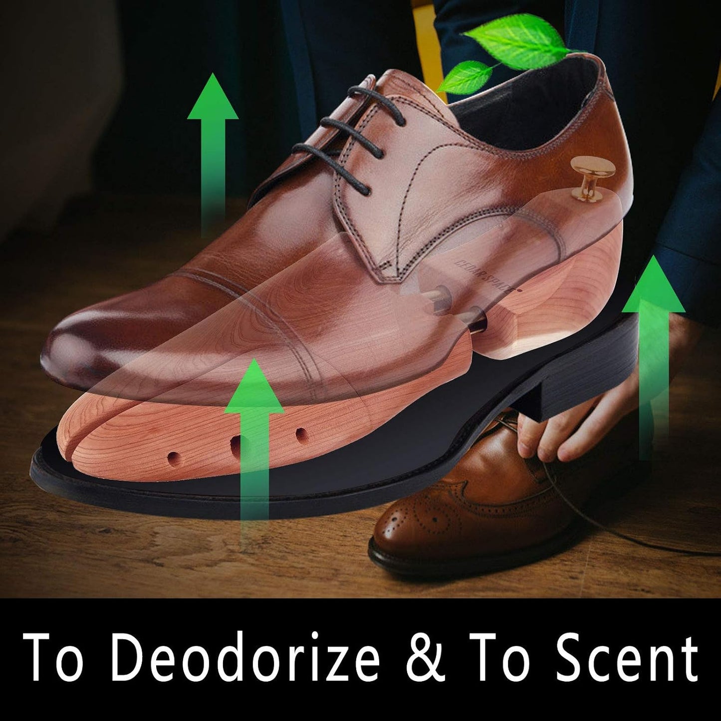 Cedar Space Cedar Shoe Trees for Men — 2-Pack