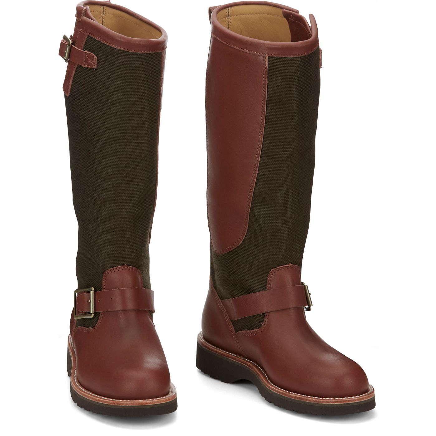 Chippewa Women's Sunjo 15" Snake Boot - Brown (SN6913) - Front View