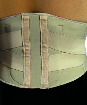 Lumbar Support w Moldable